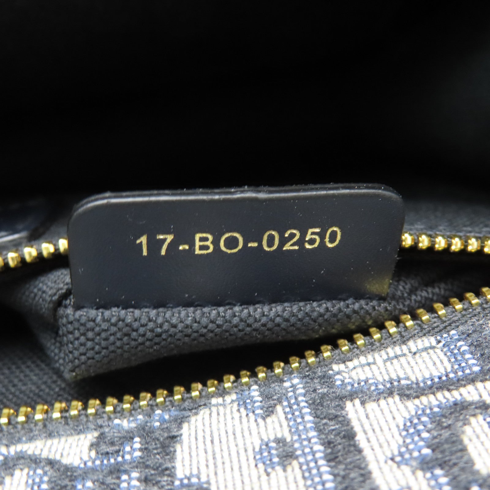 Dior 帆布30 Montaigne金扣肩背袋藍色