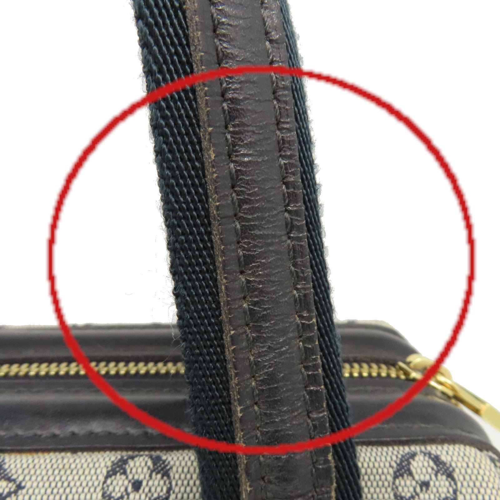 LOUIS VUITTON Monogram Mini Josephine PM手挽袋藍色/灰色