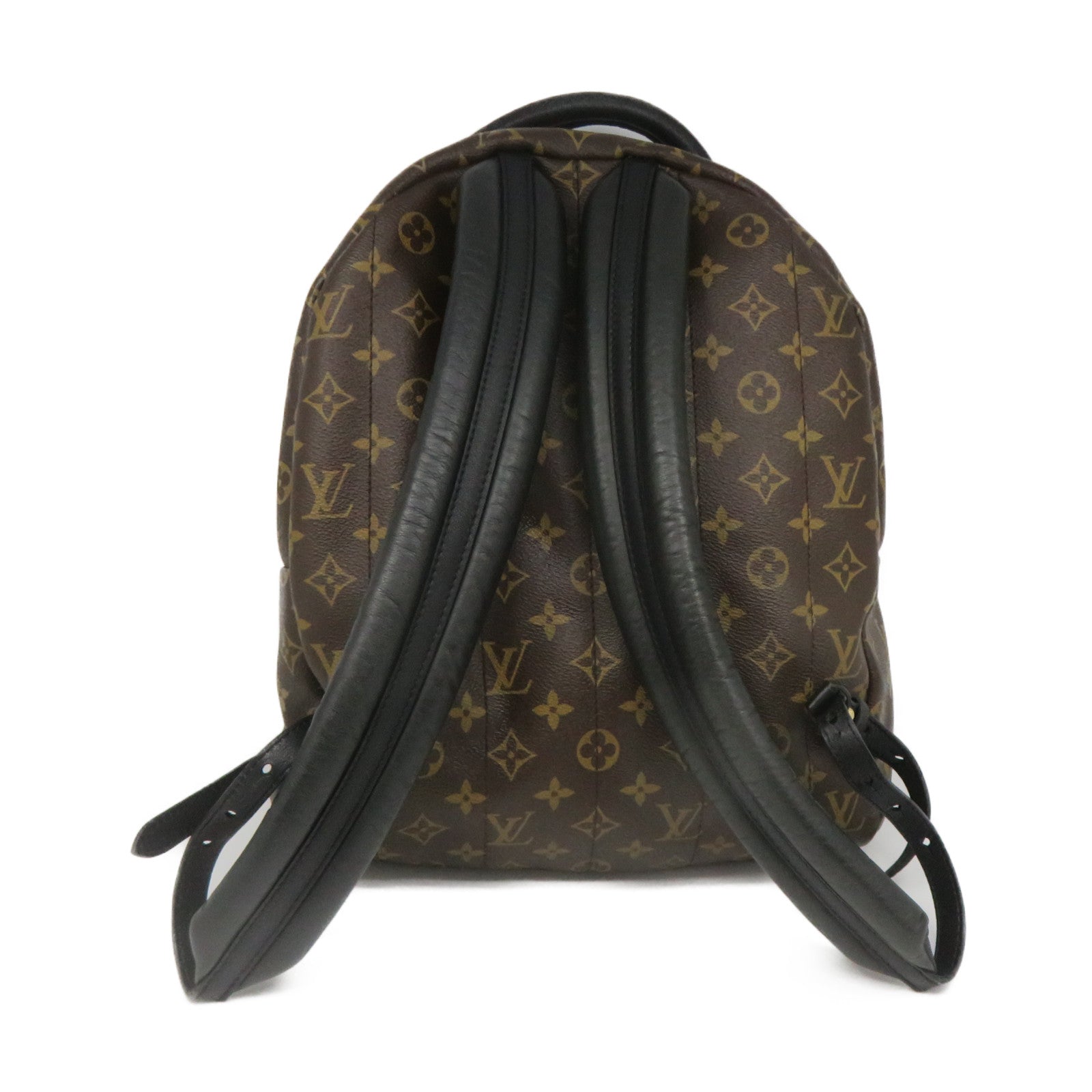 Louis Vuitton Louis Vuitton Monogram Palm Springs Backpack MM Rucksack