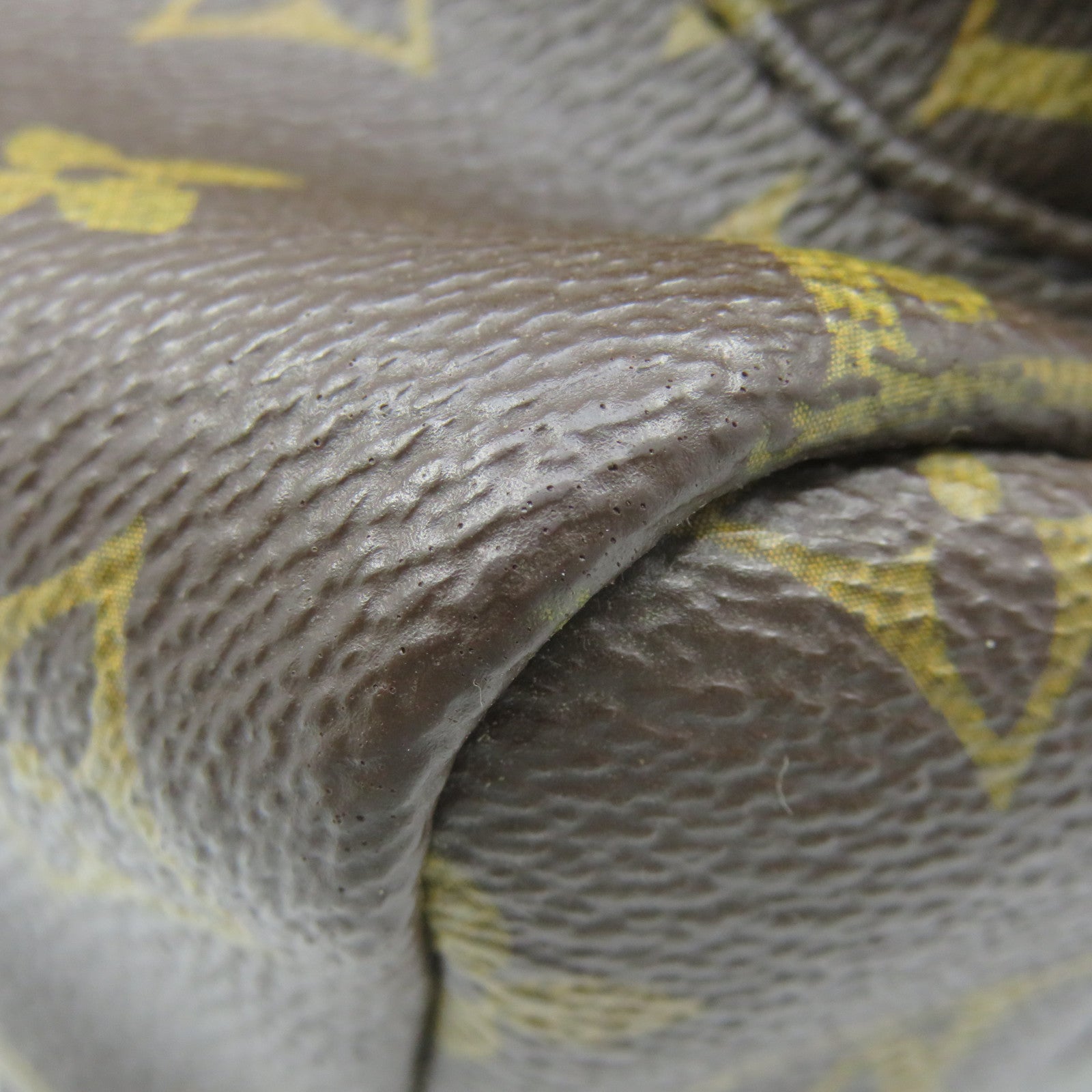LOUIS VUITTON Monogram Palm Springs MM Backpack背包啡色