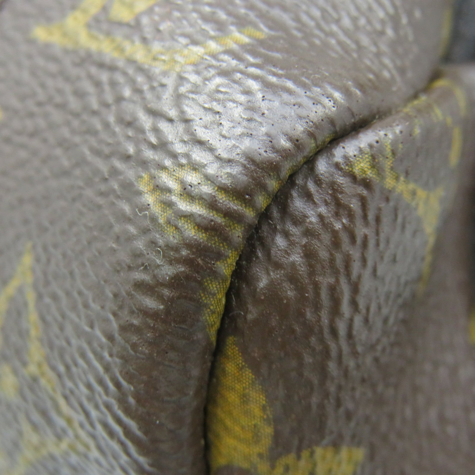 LOUIS VUITTON Monogram Palm Springs MM Backpack背包啡色