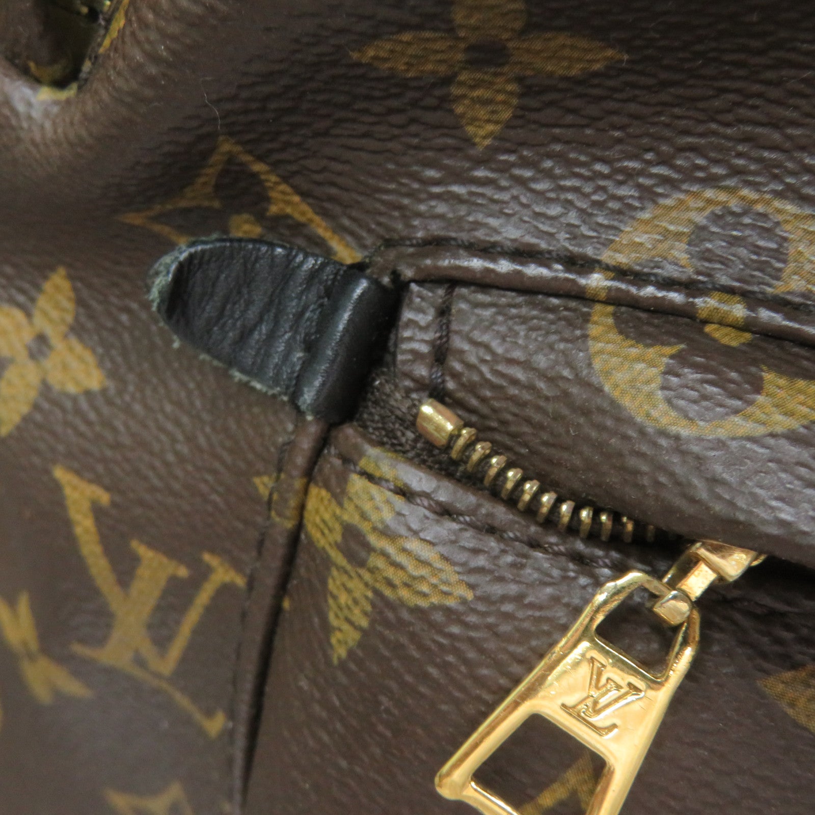 LOUIS VUITTON Monogram Palm Springs MM Backpack背包啡色