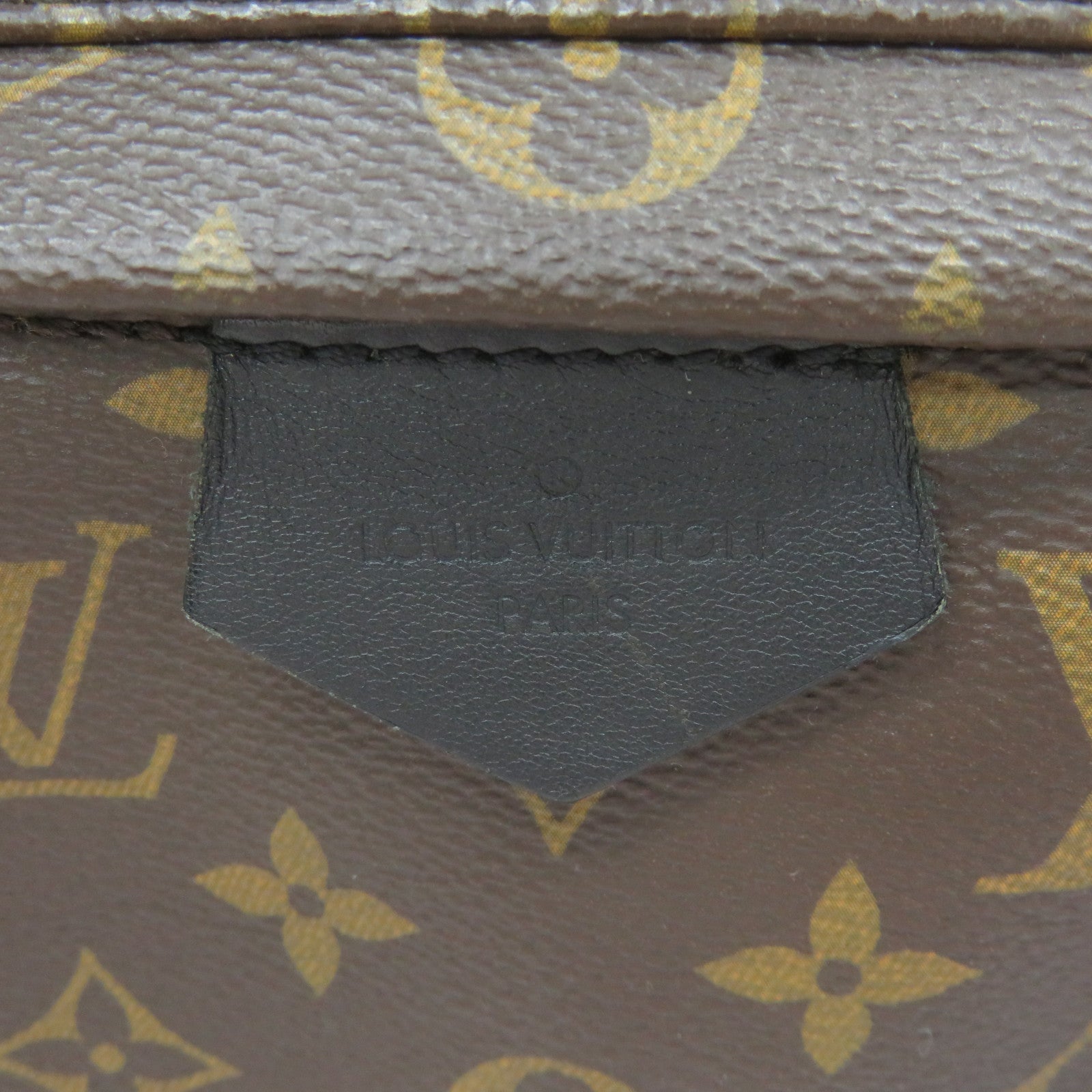 LOUIS VUITTON Monogram Palm Springs MM Backpack背包啡色