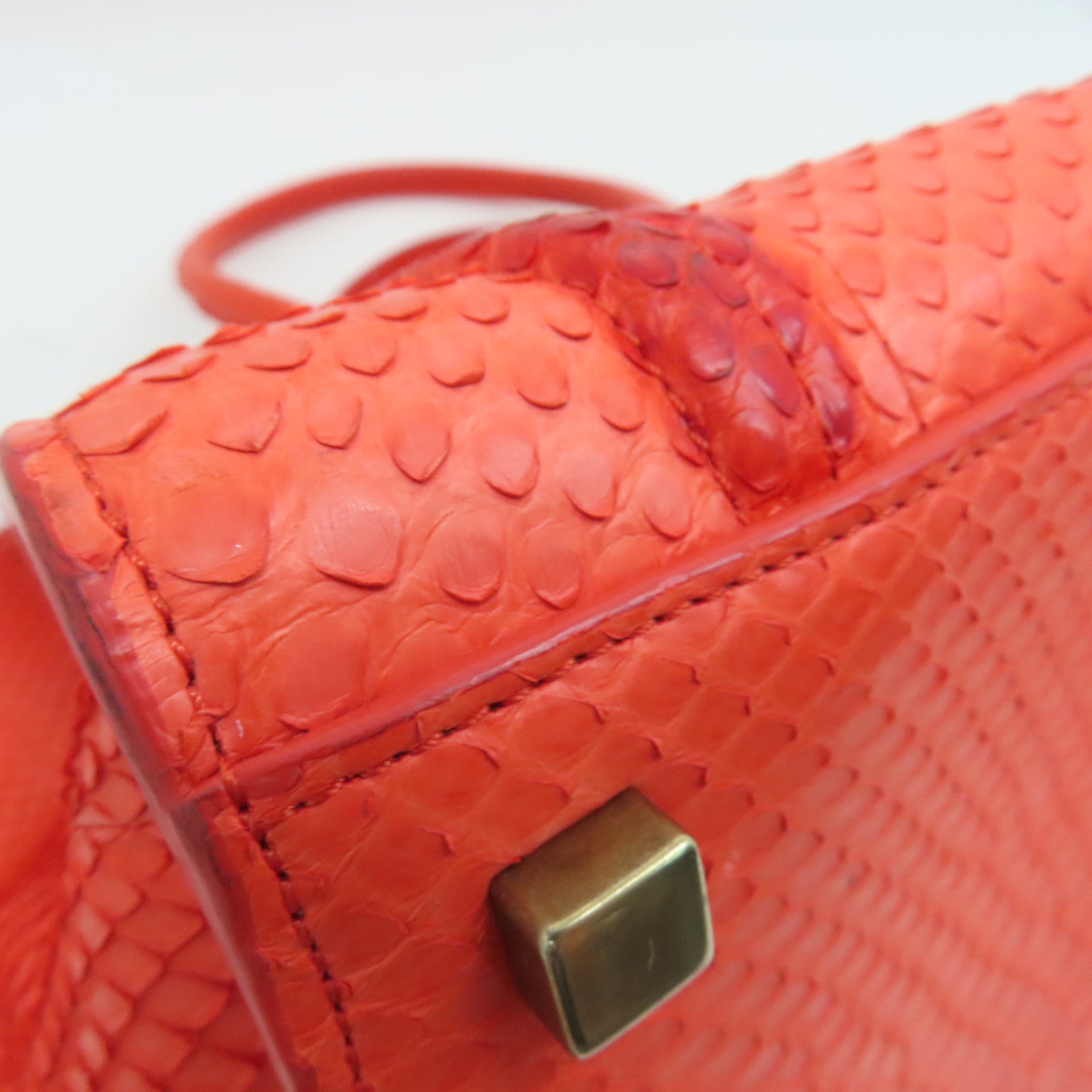 CELINE 蛇皮皮革Mini Luggage手挽袋金扣红色