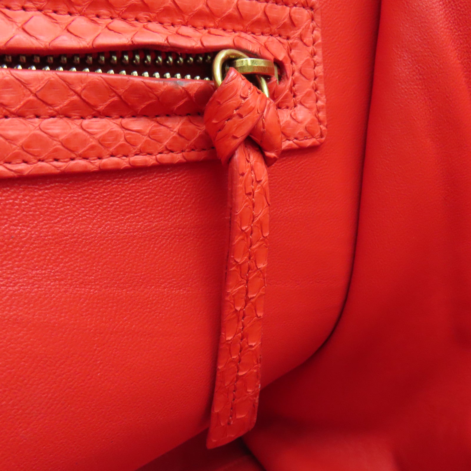 CELINE 蛇皮皮革Mini Luggage手挽袋金扣红色