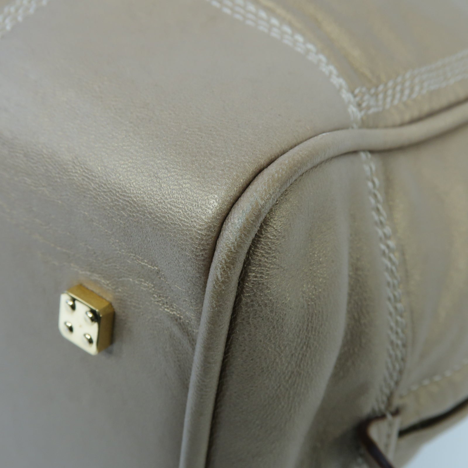LOEWE 羊皮皮革Amazona金扣手挽袋金色