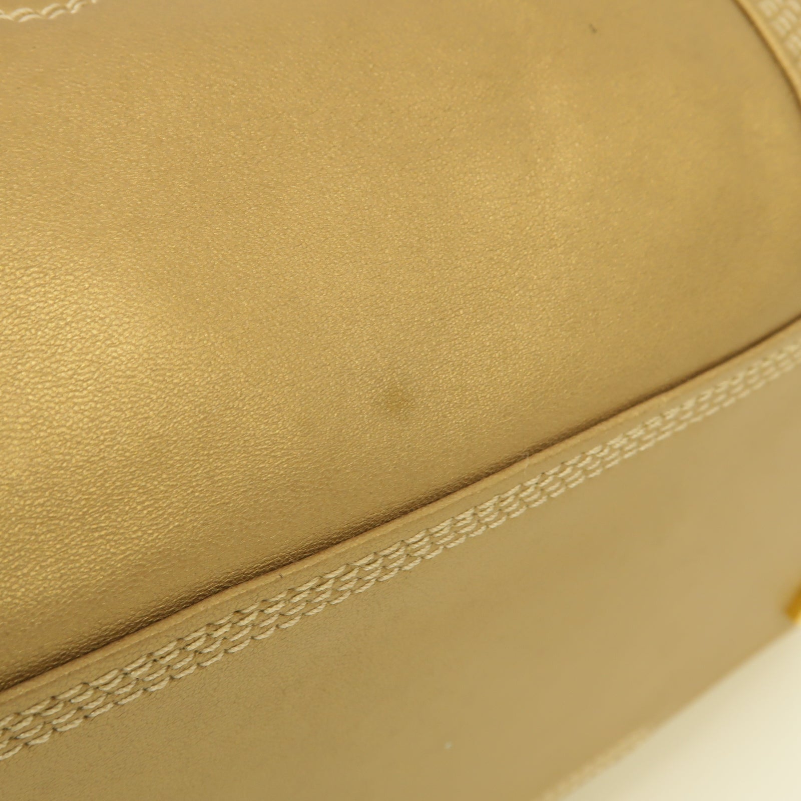 LOEWE 羊皮皮革Amazona金扣手挽袋金色
