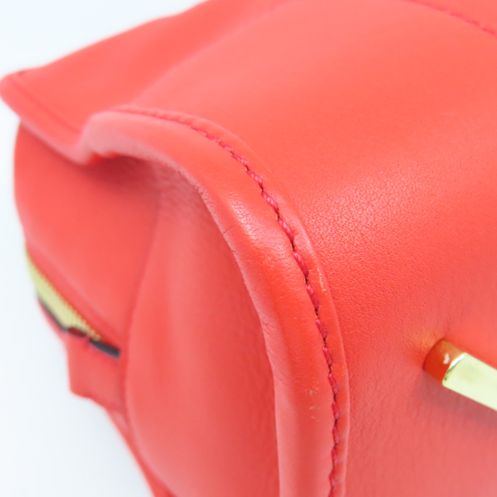 LOEWE cowhide leather Amazona 28 gold buckle handle shoulder bag red
