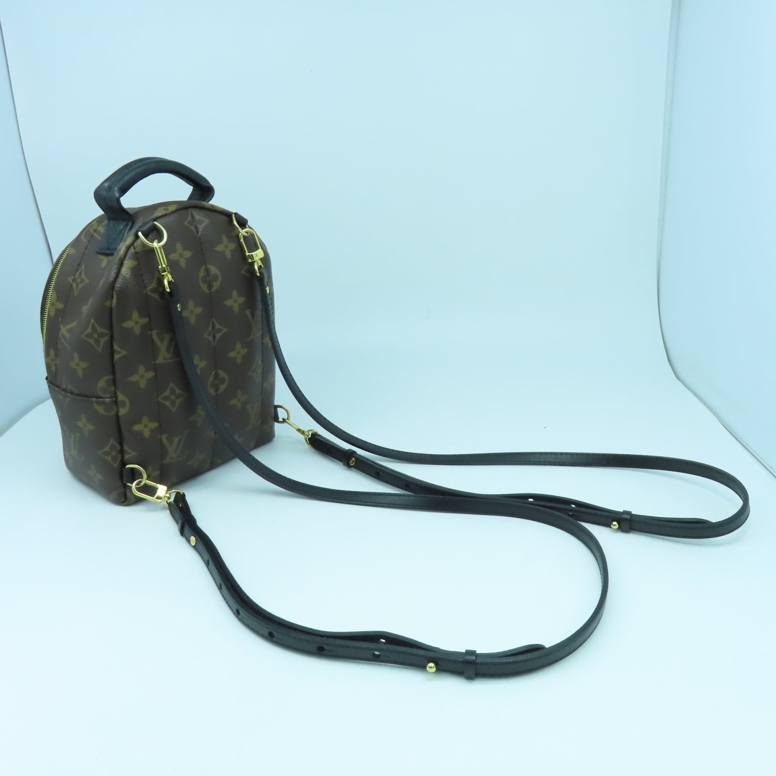 LOUIS VUITTON Monogram Palm Spring Mini金扣背包啡色