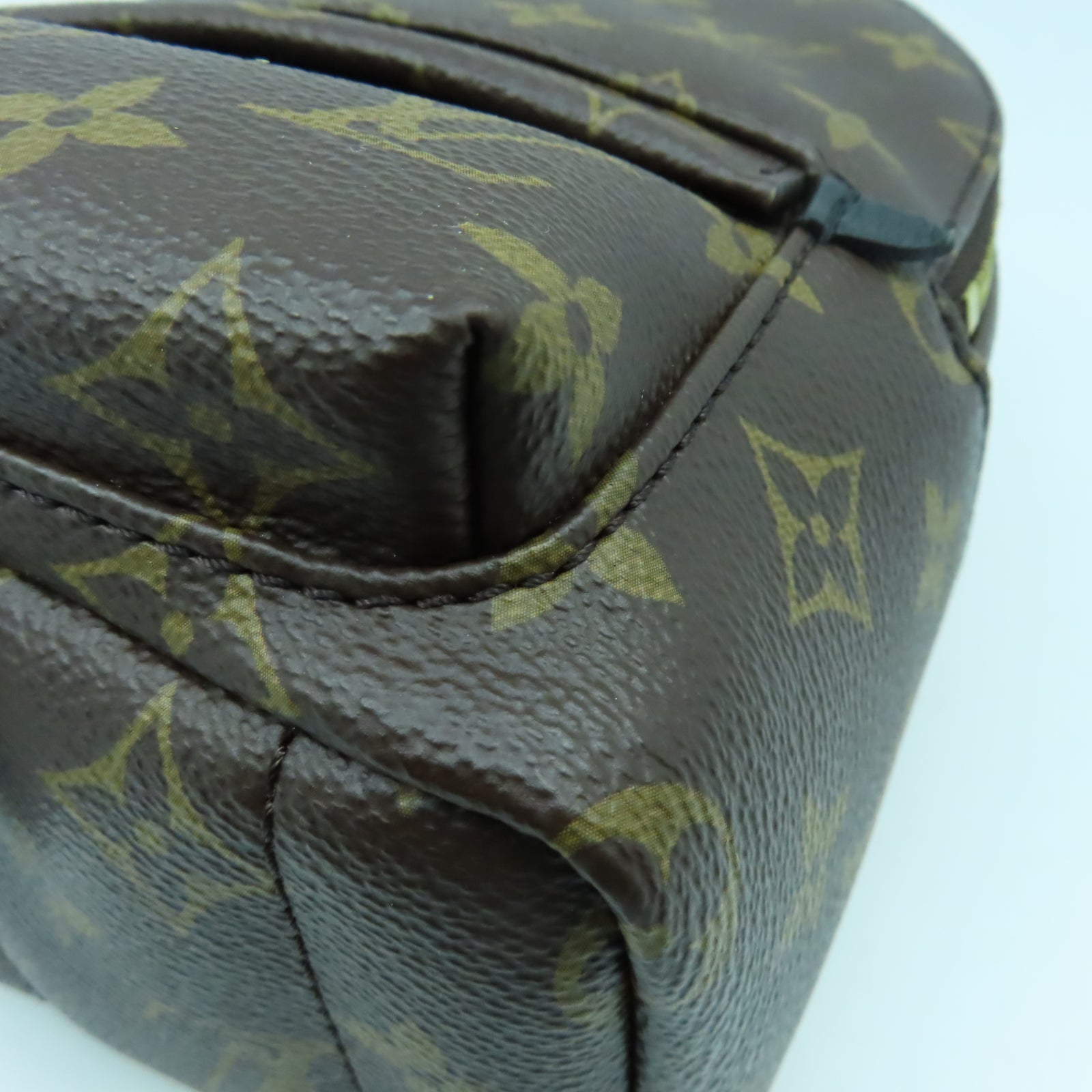 LOUIS VUITTON Monogram Palm Spring Mini金扣背包啡色