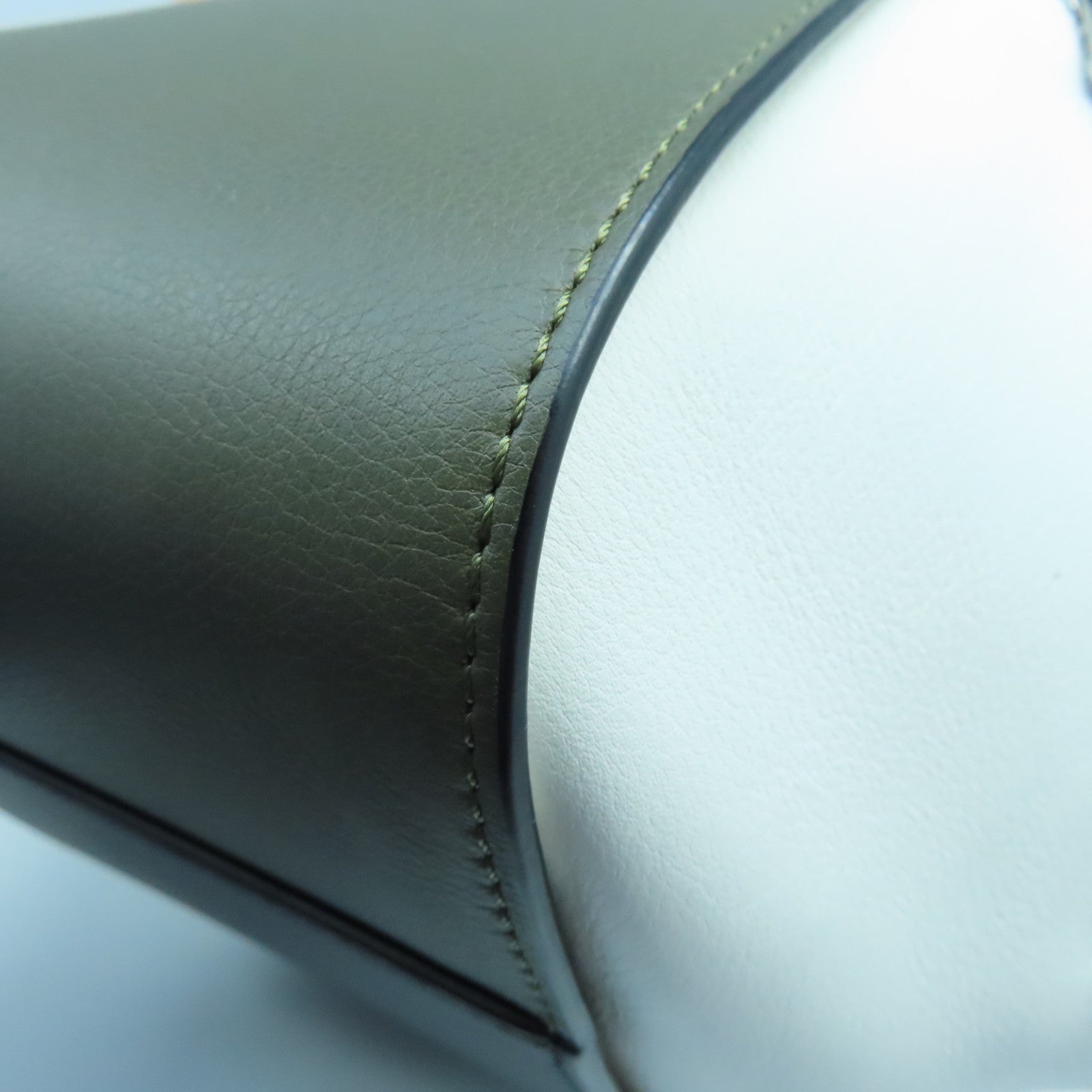 LOEWE 牛皮皮革Hammock銀扣手挽肩背兩用袋白色綠色黑色