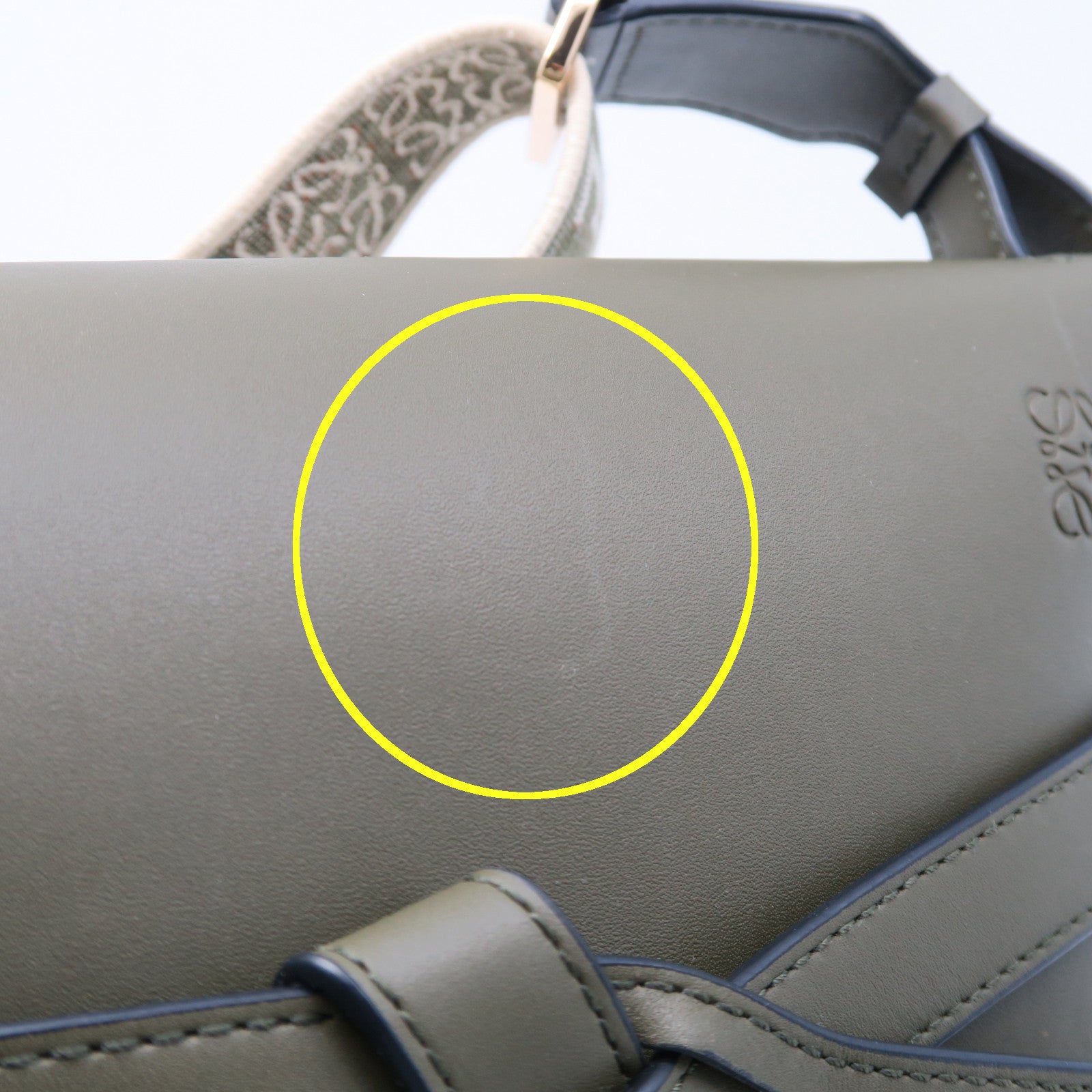 LOEWE 牛皮皮革Small Gate Bag金扣肩背袋綠色