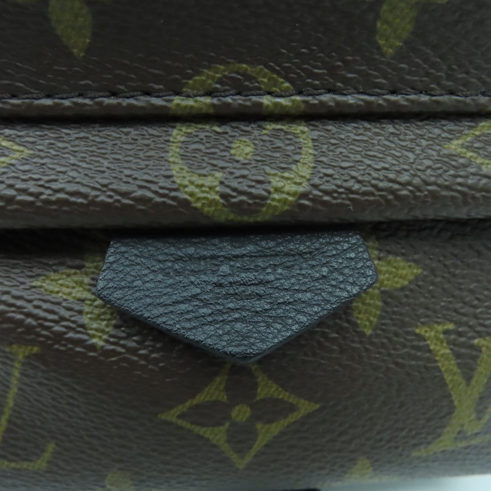 LOUIS VUITTON Monogram Palm Springs Mini金扣背包啡色