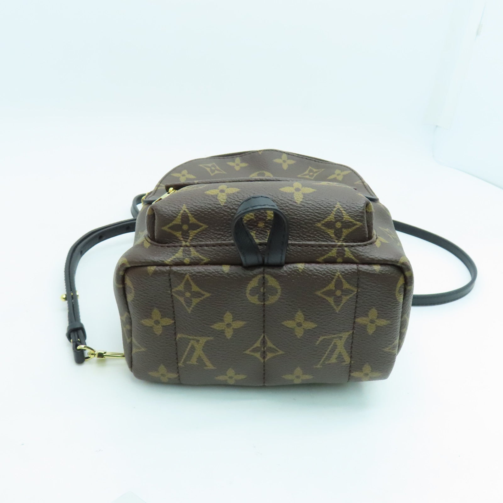 LOUIS VUITTON Monogram Palm Springs Mini金扣背包黑色/啡色