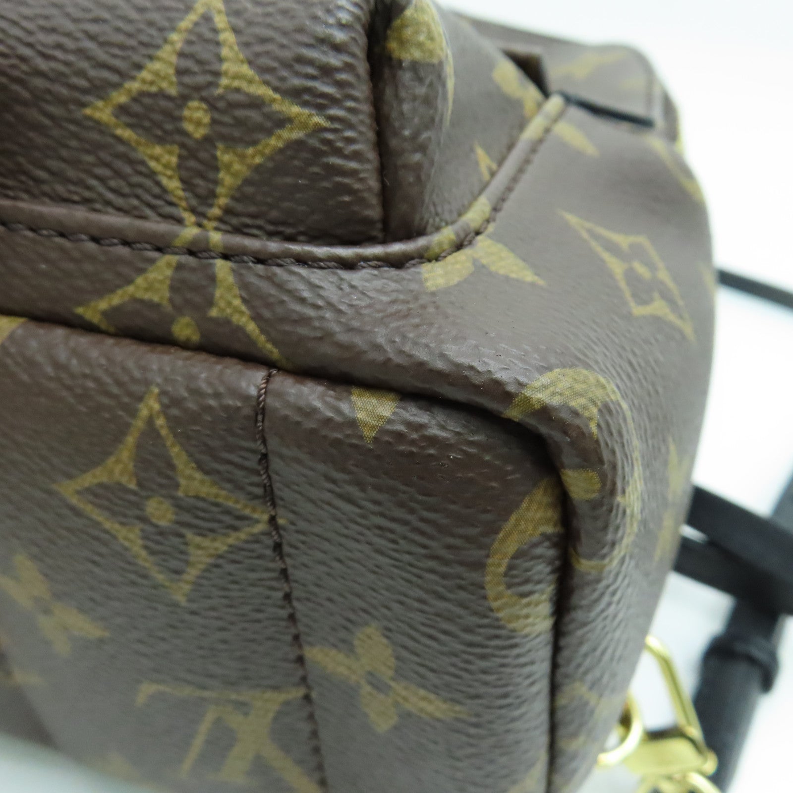 LOUIS VUITTON Monogram Palm Springs Mini金扣背包黑色/啡色