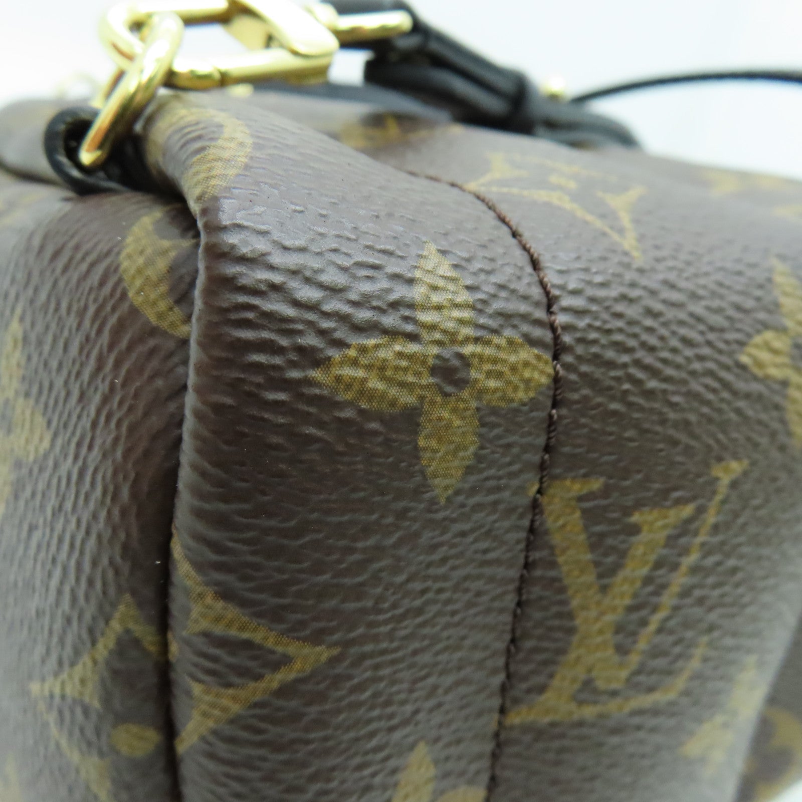 LOUIS VUITTON Monogram Palm Springs Mini金扣背包黑色/啡色