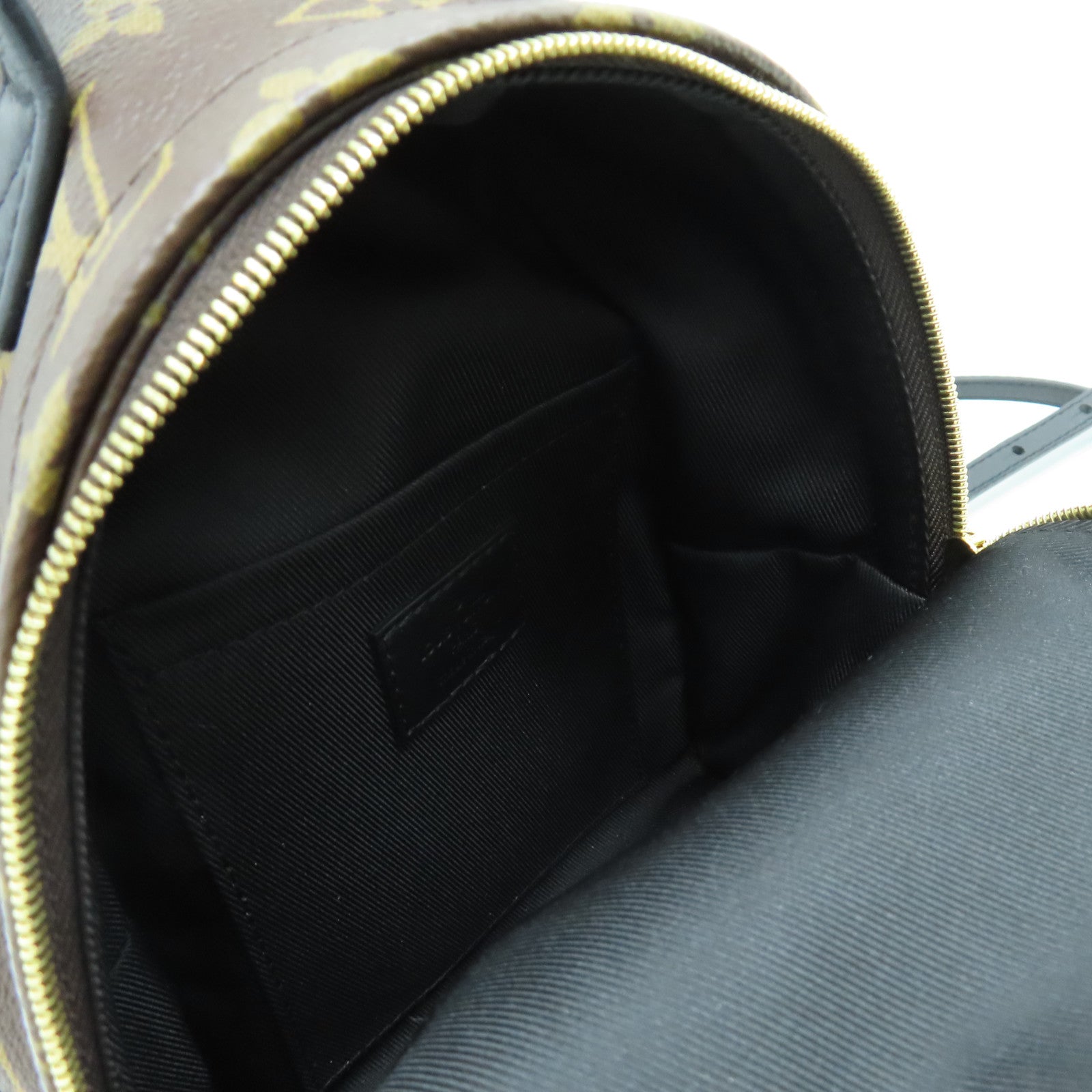 LOUIS VUITTON Monogram Palm Springs Mini金扣背包黑色/啡色
