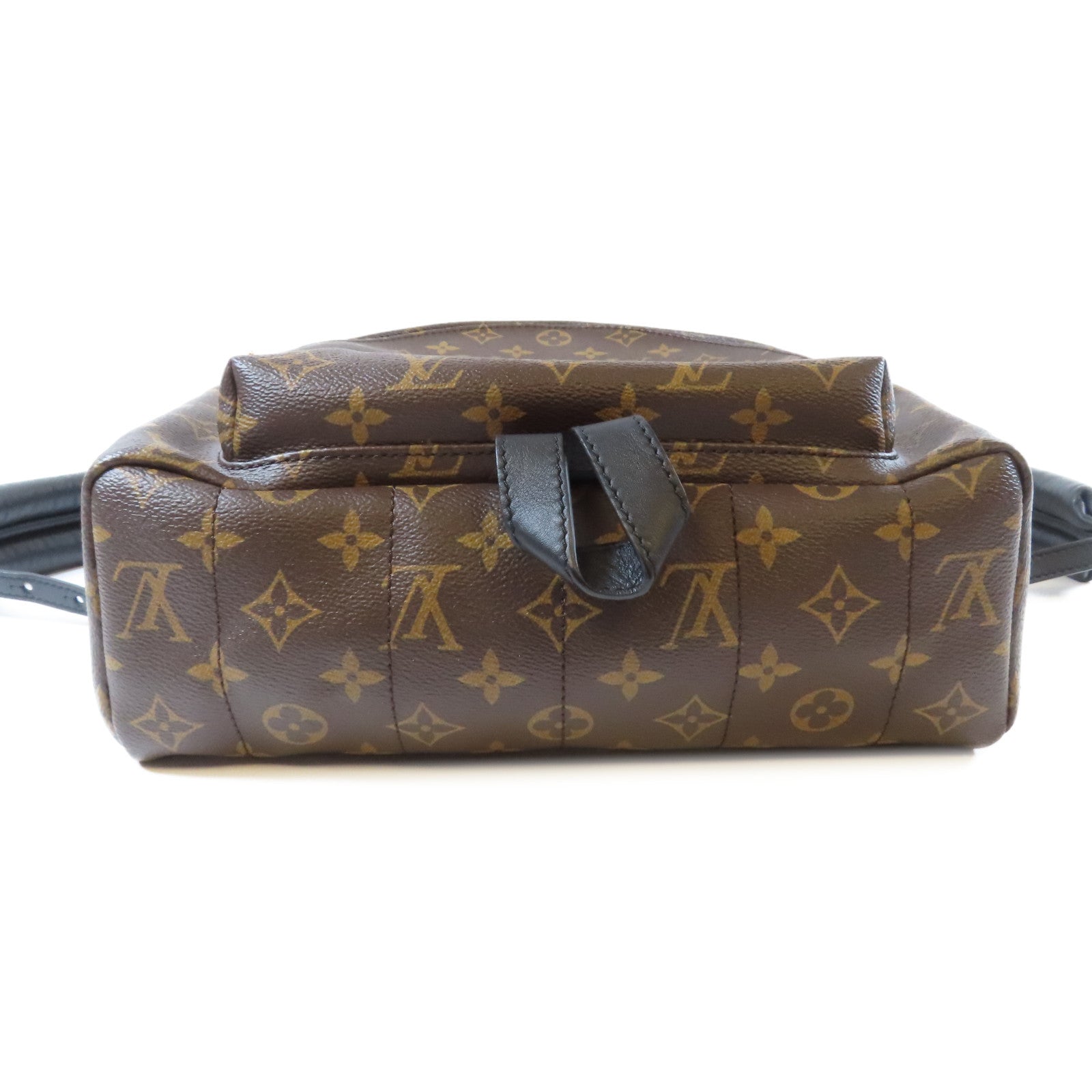 LOUIS VUITTON Monogram Macassar Palm Springs MM金扣背包啡色/黑色