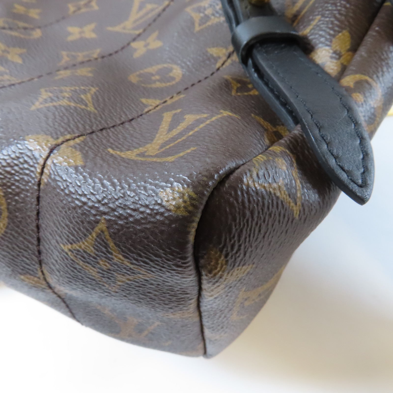 LOUIS VUITTON Monogram Macassar Palm Springs MM金扣背包啡色/黑色