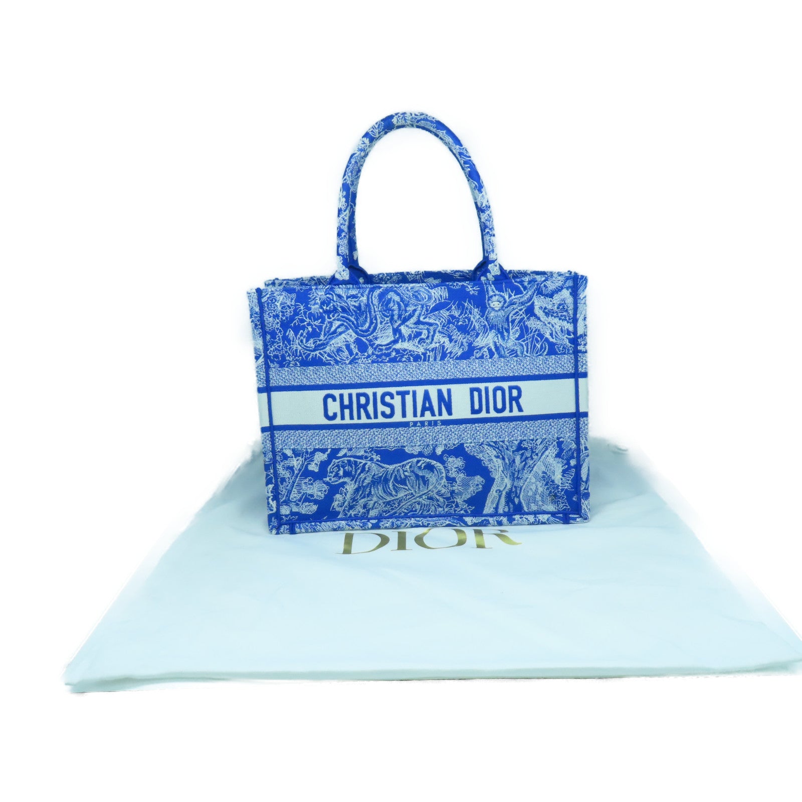 Dior Toile麻质Medium Dior Book Tote手挽袋蓝色/白色