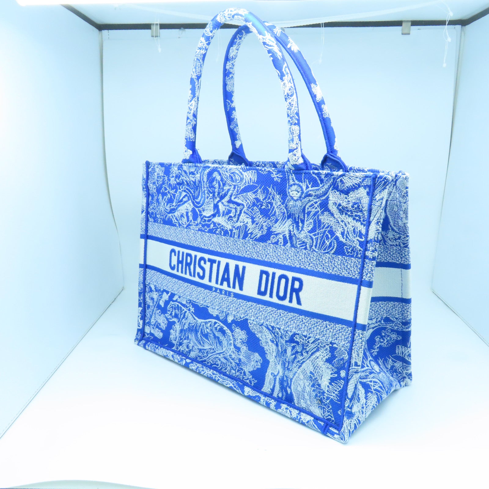 Dior Toile麻质Medium Dior Book Tote手挽袋蓝色/白色