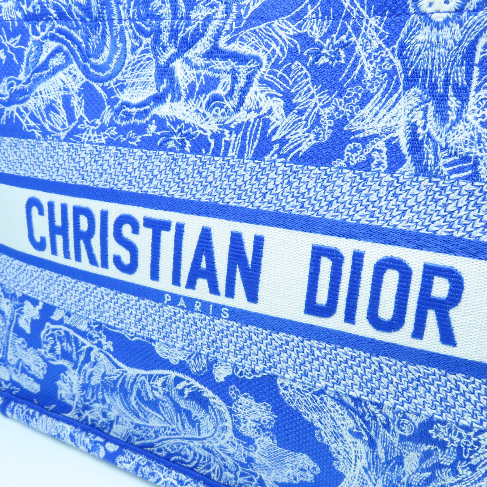 Dior Toile麻质Medium Dior Book Tote手挽袋蓝色/白色