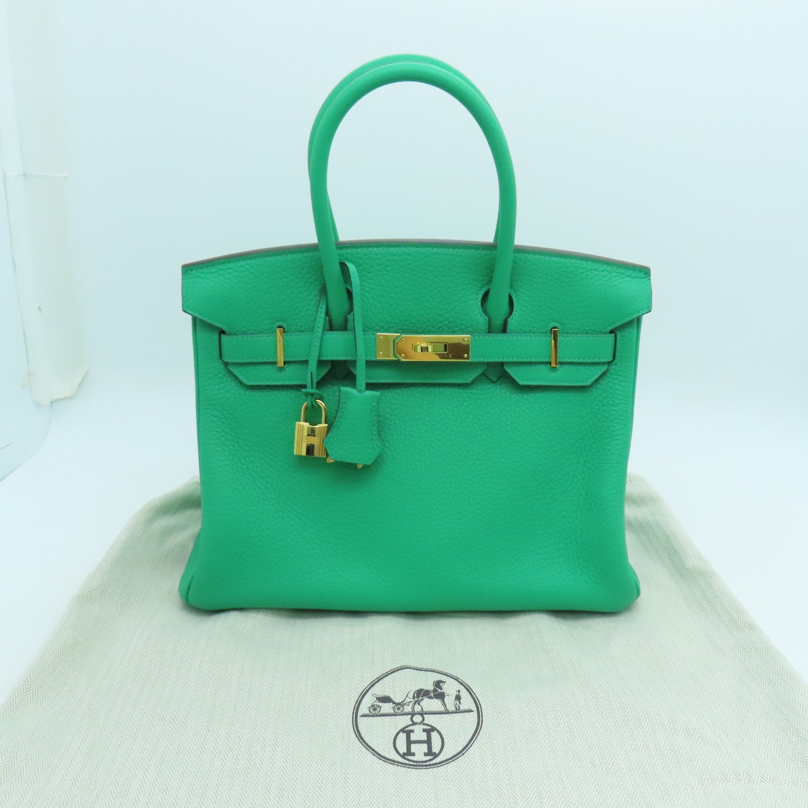 HERMES Clemence皮革Birkin 30 Hand Bag金扣手提包绿色6W