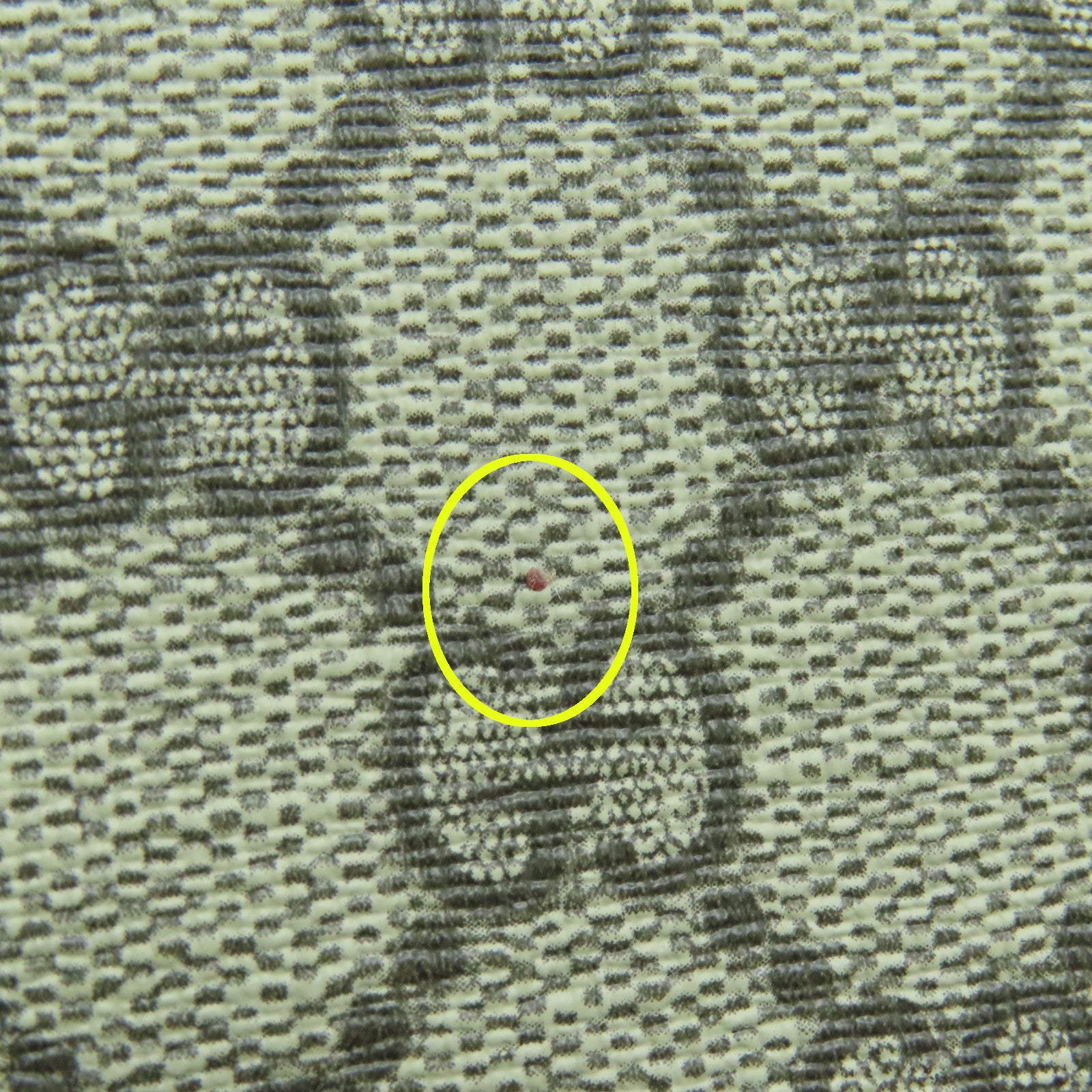 GUCCI 塗層帆布/麂皮皮革Chain Shoulder銀扣鏈帶肩背袋啡色/紅色