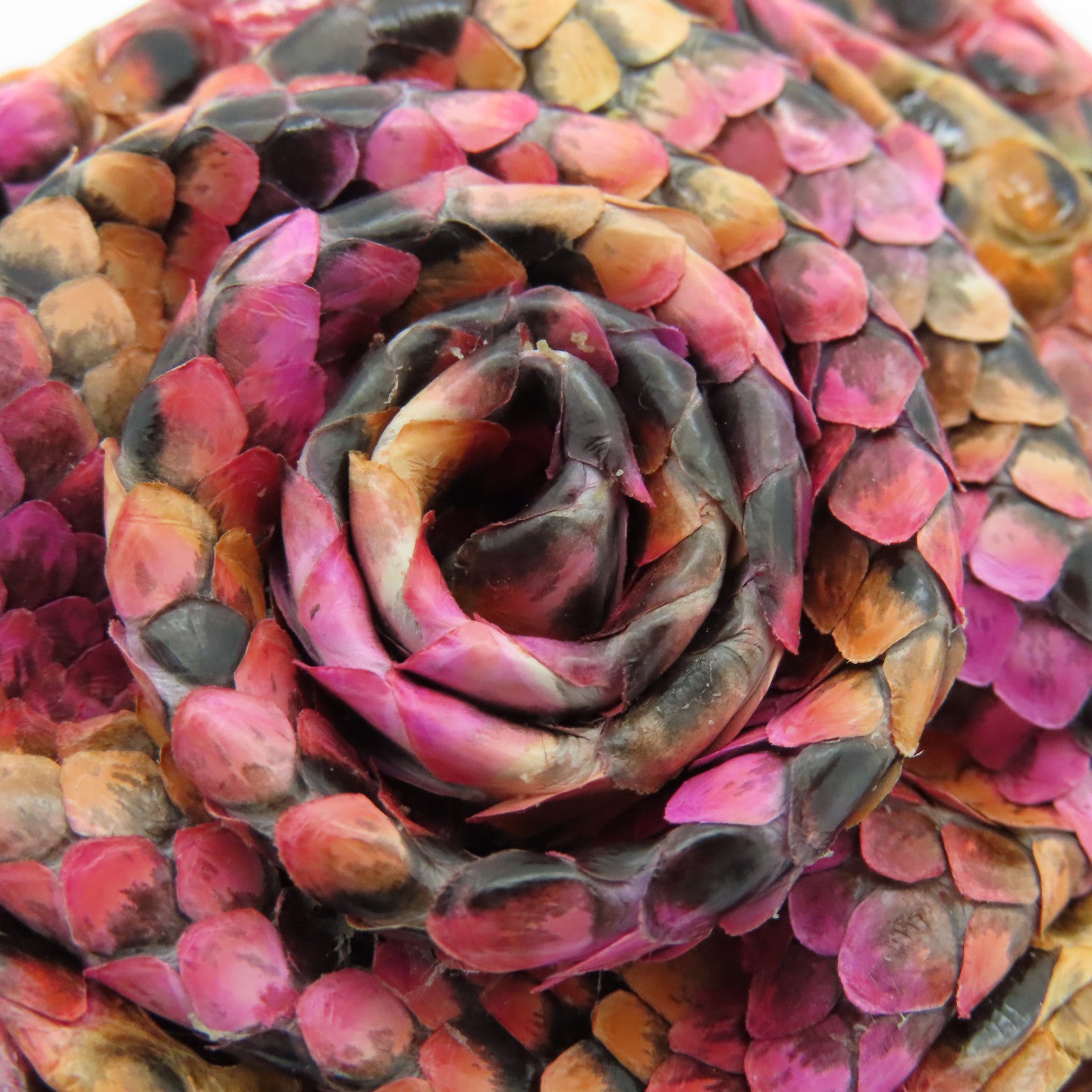 CHANEL Leather Brooch Gold Buckle Brooch Pink/Color