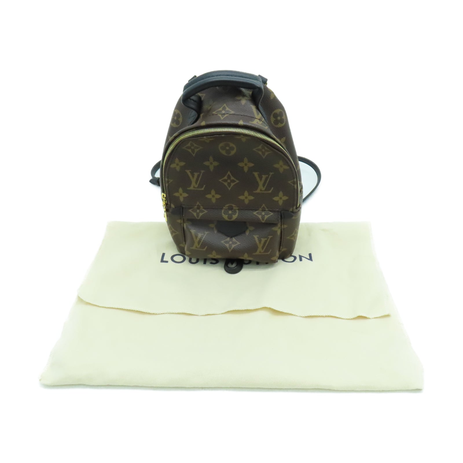 LOUIS VUITTON Monogram Palm Springs Mini金扣背包棕色