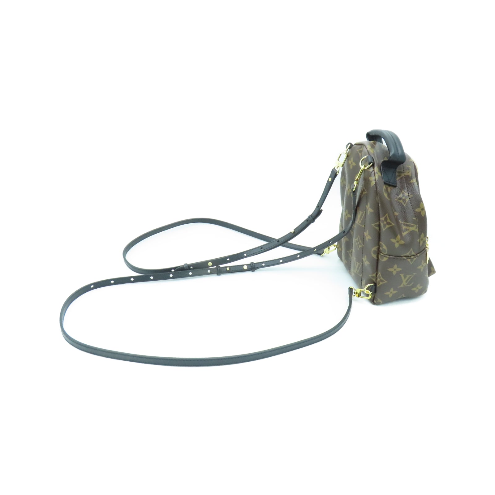LOUIS VUITTON Monogram Palm Springs Mini金扣背包棕色