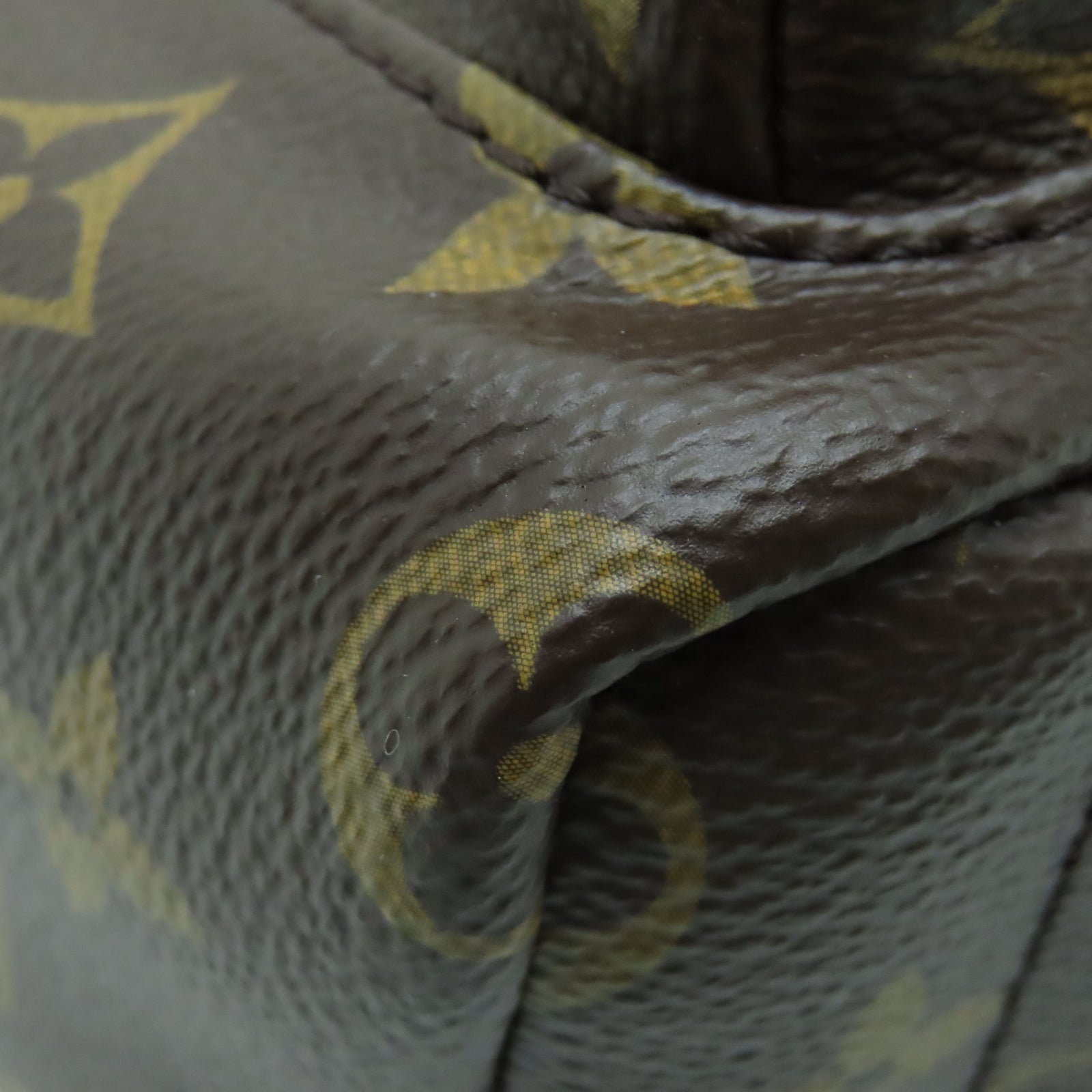 LOUIS VUITTON Monogram Palm Springs Mini金扣背包棕色