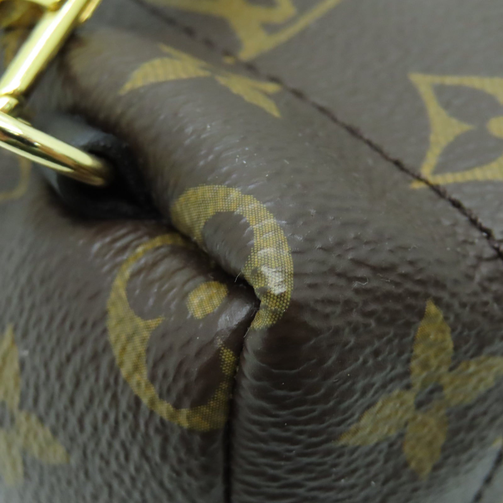 LOUIS VUITTON Monogram Palm Springs Mini金扣背包棕色