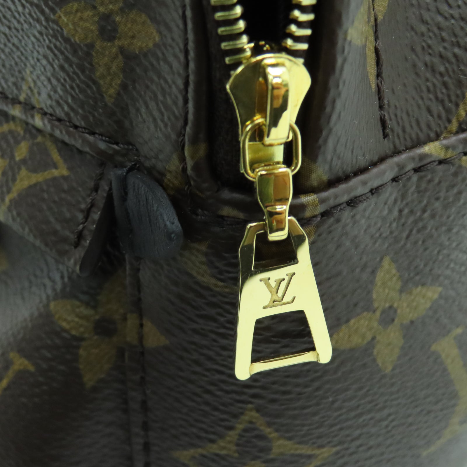 LOUIS VUITTON Monogram Palm Springs Mini金扣背包棕色