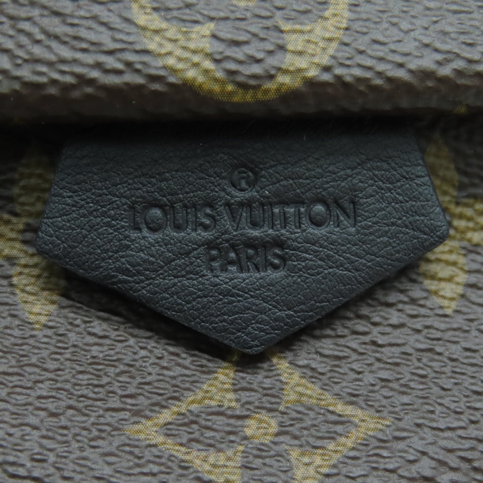 LOUIS VUITTON Monogram Palm Springs Mini金扣背包棕色