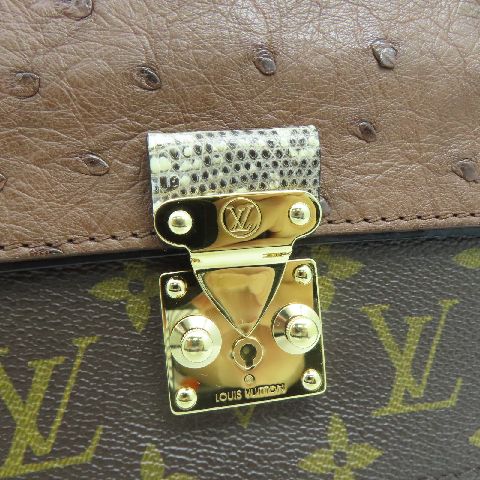 LOUIS VUITTON 駝鳥皮革Monogram Majestueux金扣肩背袋棕色/綠色
