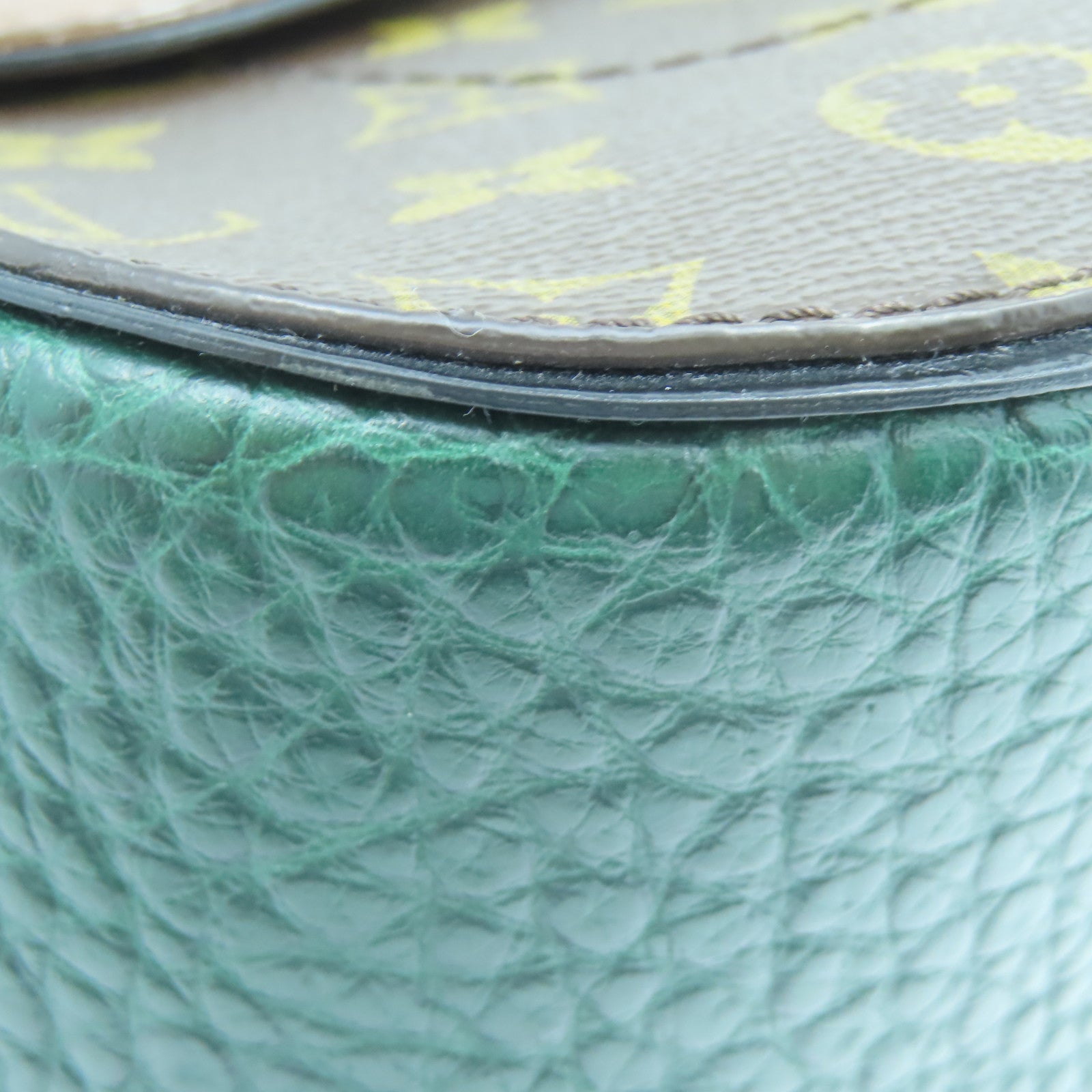 LOUIS VUITTON 駝鳥皮革Monogram Majestueux金扣肩背袋棕色/綠色
