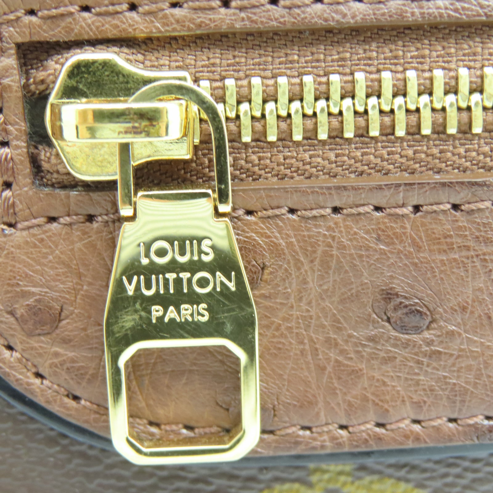 LOUIS VUITTON 駝鳥皮革Monogram Majestueux金扣肩背袋棕色/綠色