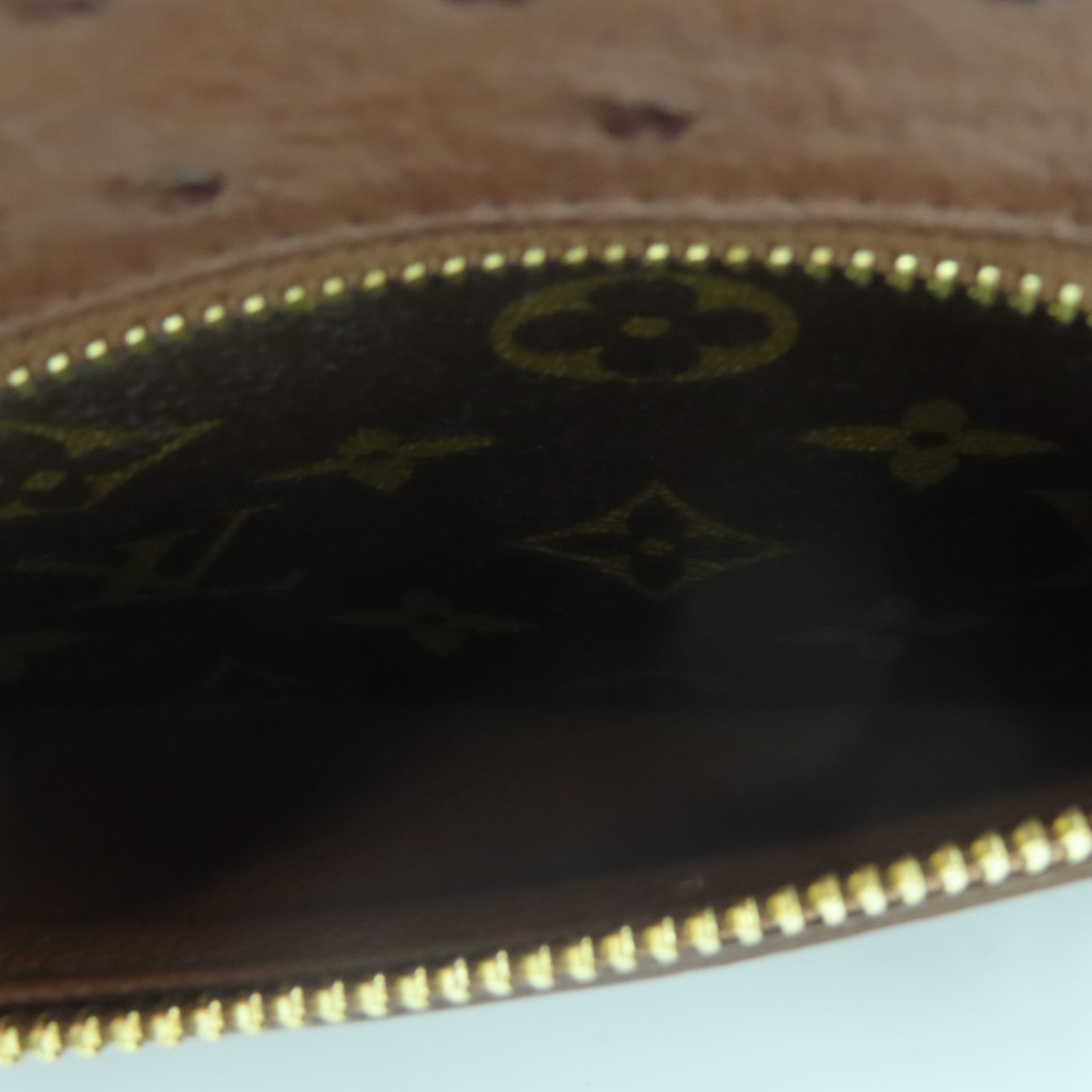 LOUIS VUITTON 駝鳥皮革Monogram Majestueux金扣肩背袋棕色/綠色