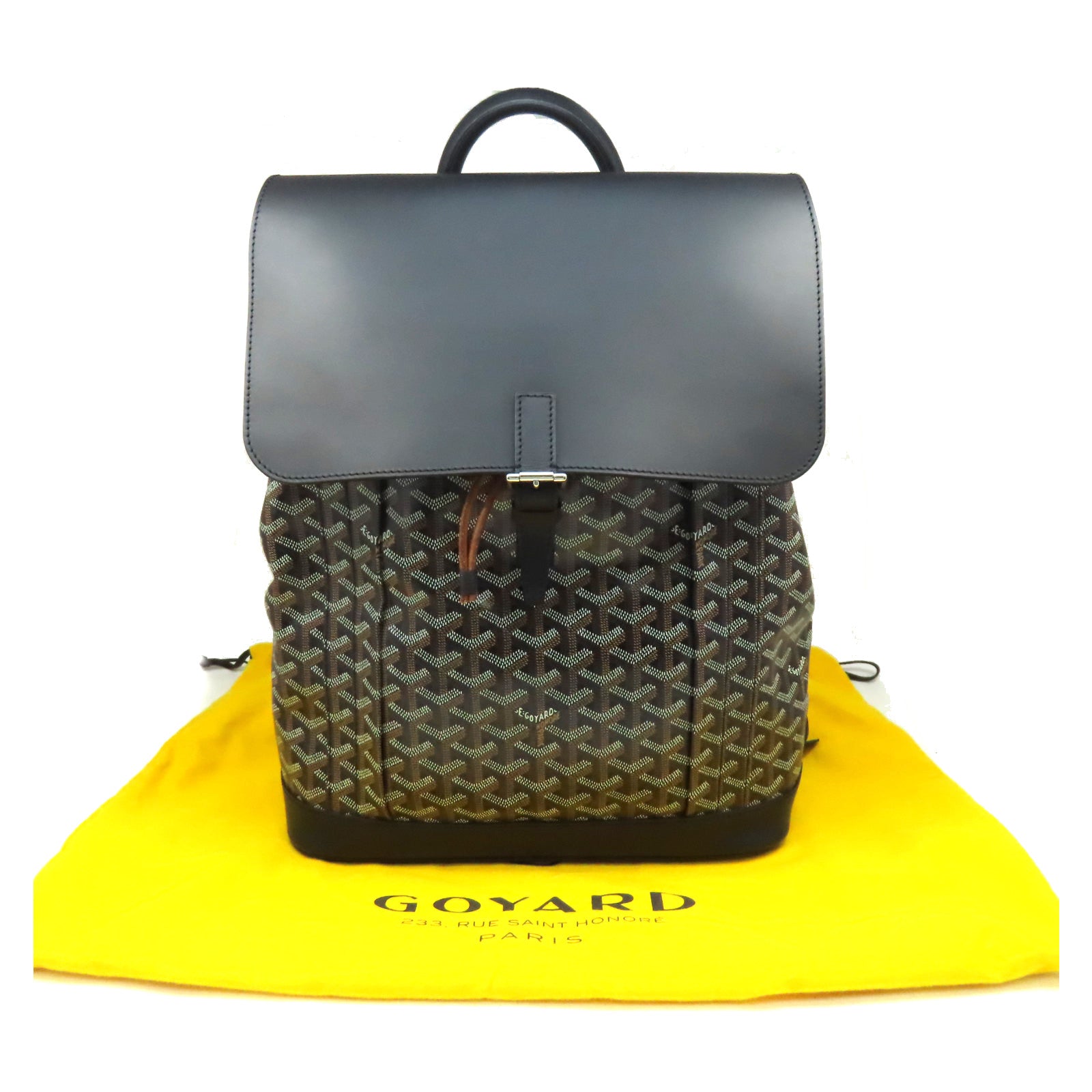 GOYARD 塗層帆布Alpin Backpack背包黑色/啡色