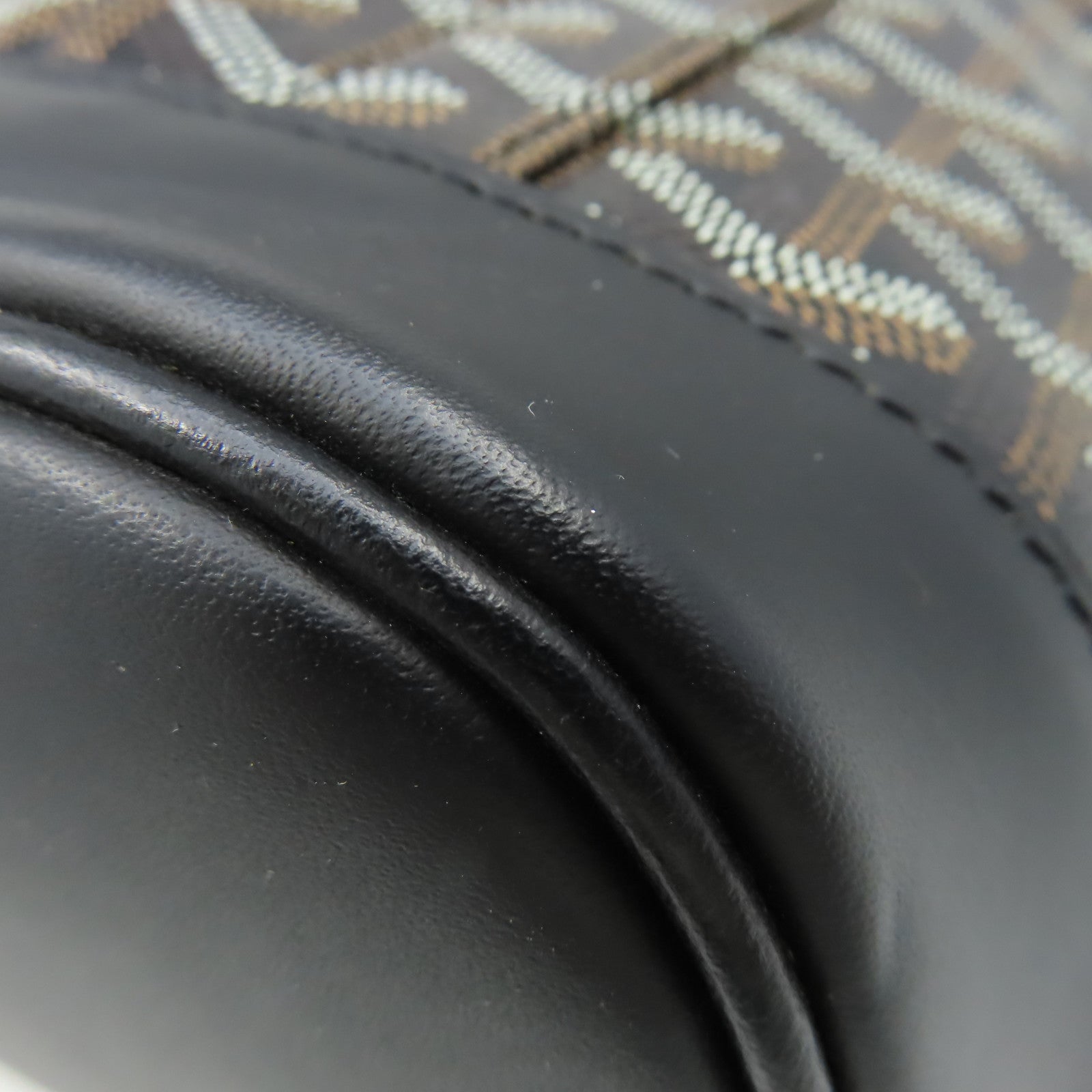GOYARD 塗層帆布Alpin Backpack背包黑色/啡色