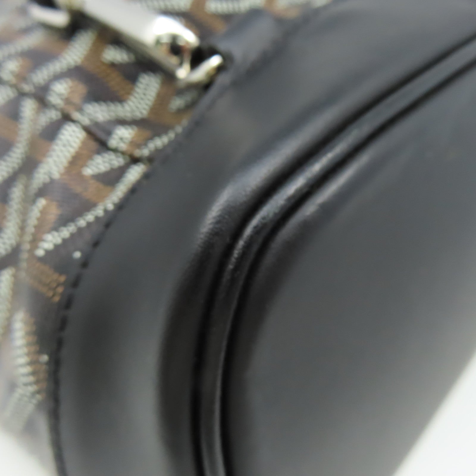 GOYARD 塗層帆布Alpin Backpack背包黑色/啡色