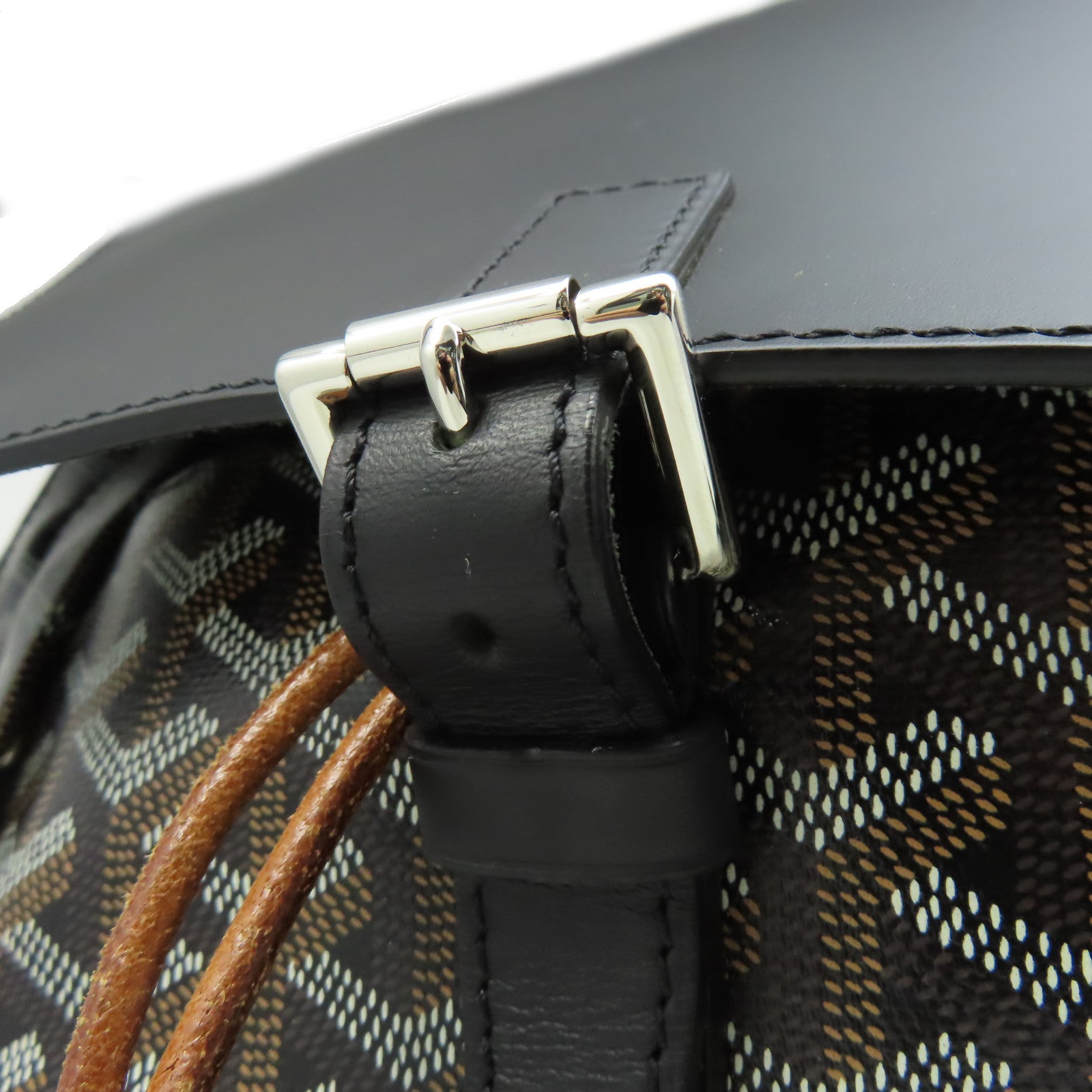 GOYARD 塗層帆布Alpin Backpack背包黑色/啡色