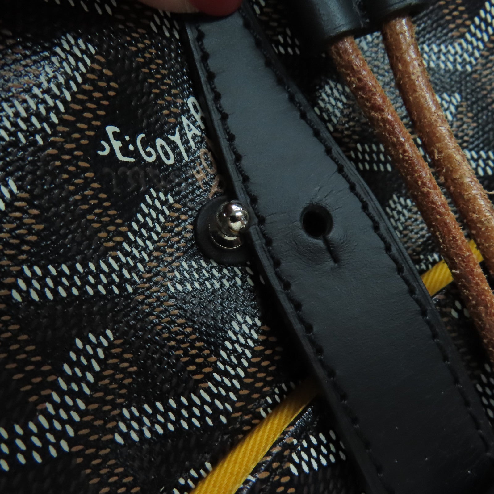 GOYARD 塗層帆布Alpin Backpack背包黑色/啡色