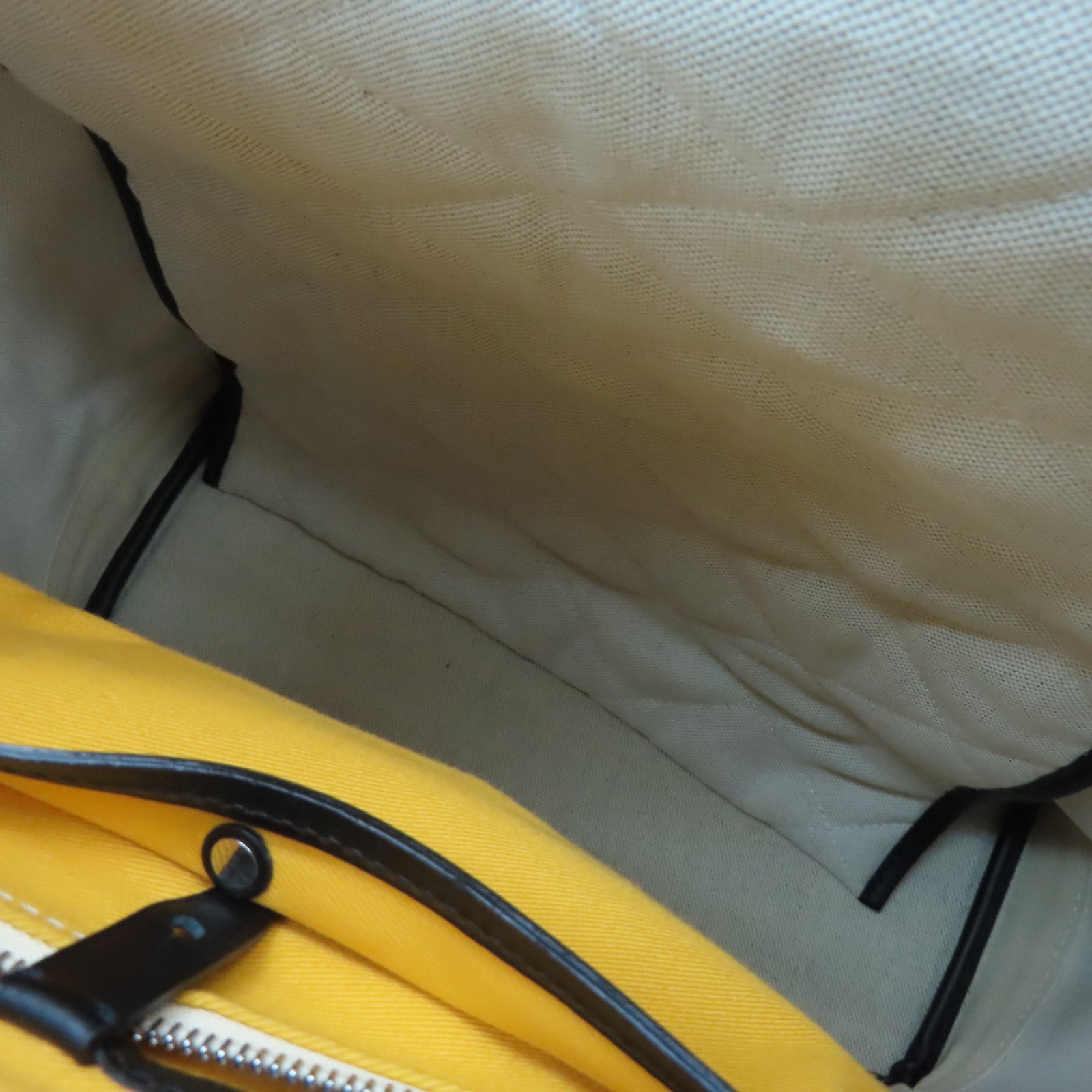 GOYARD 塗層帆布Alpin Backpack背包黑色/啡色