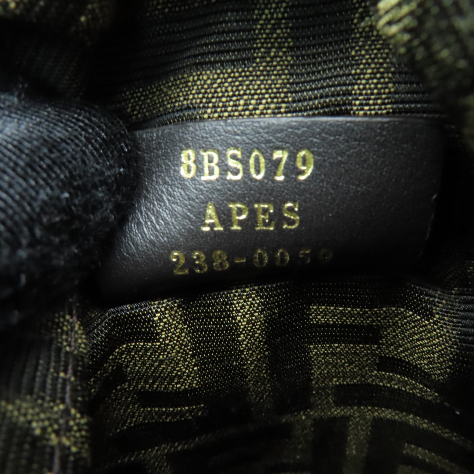 FENDI 帆布Step Out Mini金扣手挽肩背兩用袋棕色