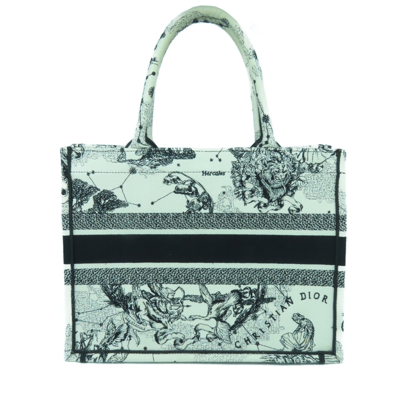 Dior 帆布Medium Book Tote手挽袋黑色/白色