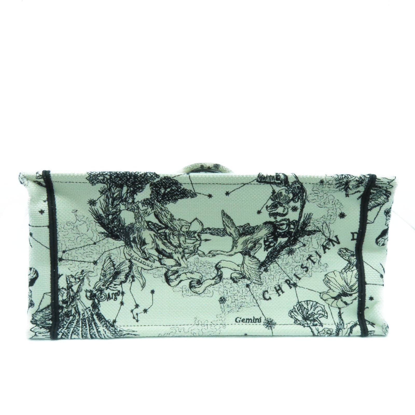 Dior 帆布Medium Book Tote手挽袋黑色/白色