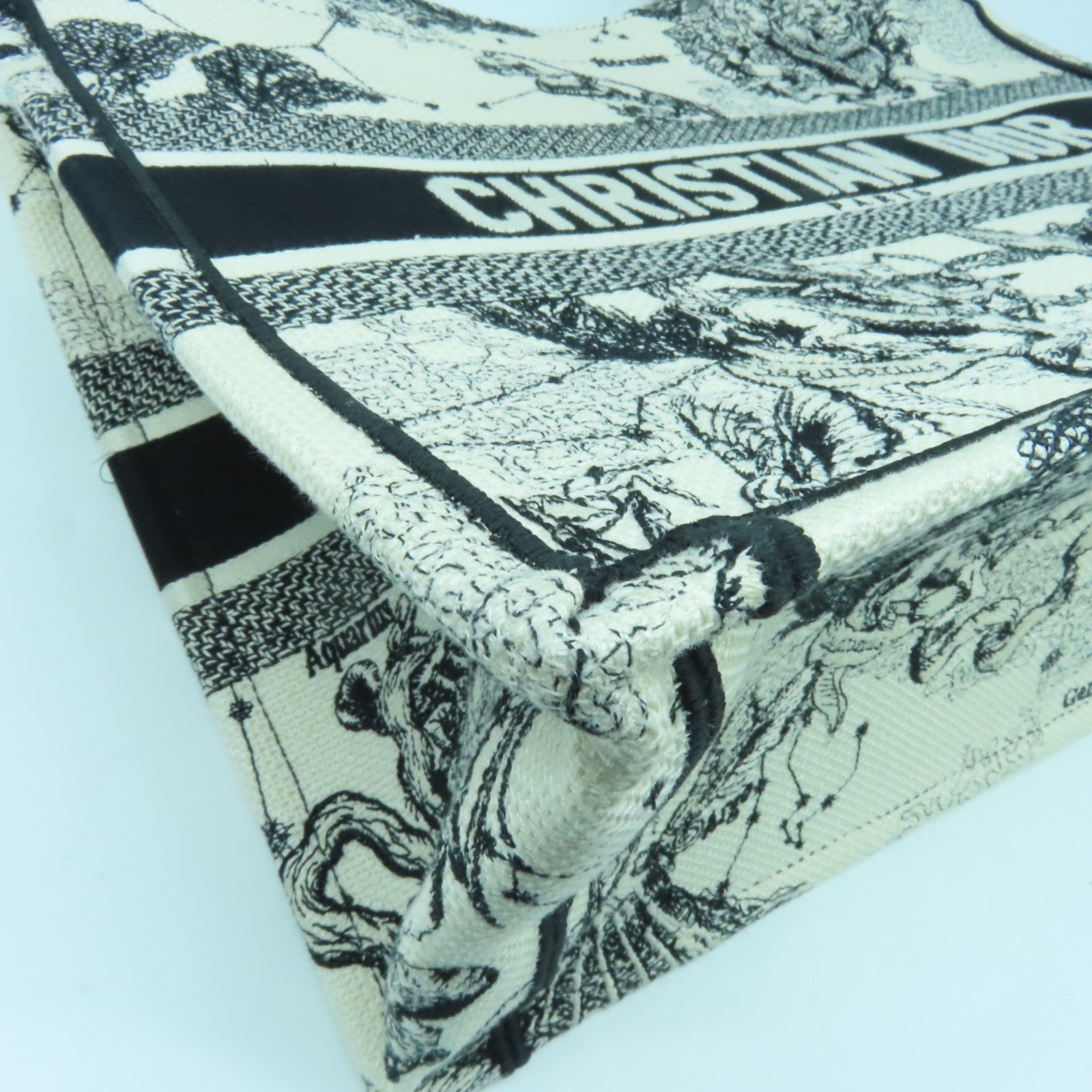 Dior 帆布Medium Book Tote手挽袋黑色/白色