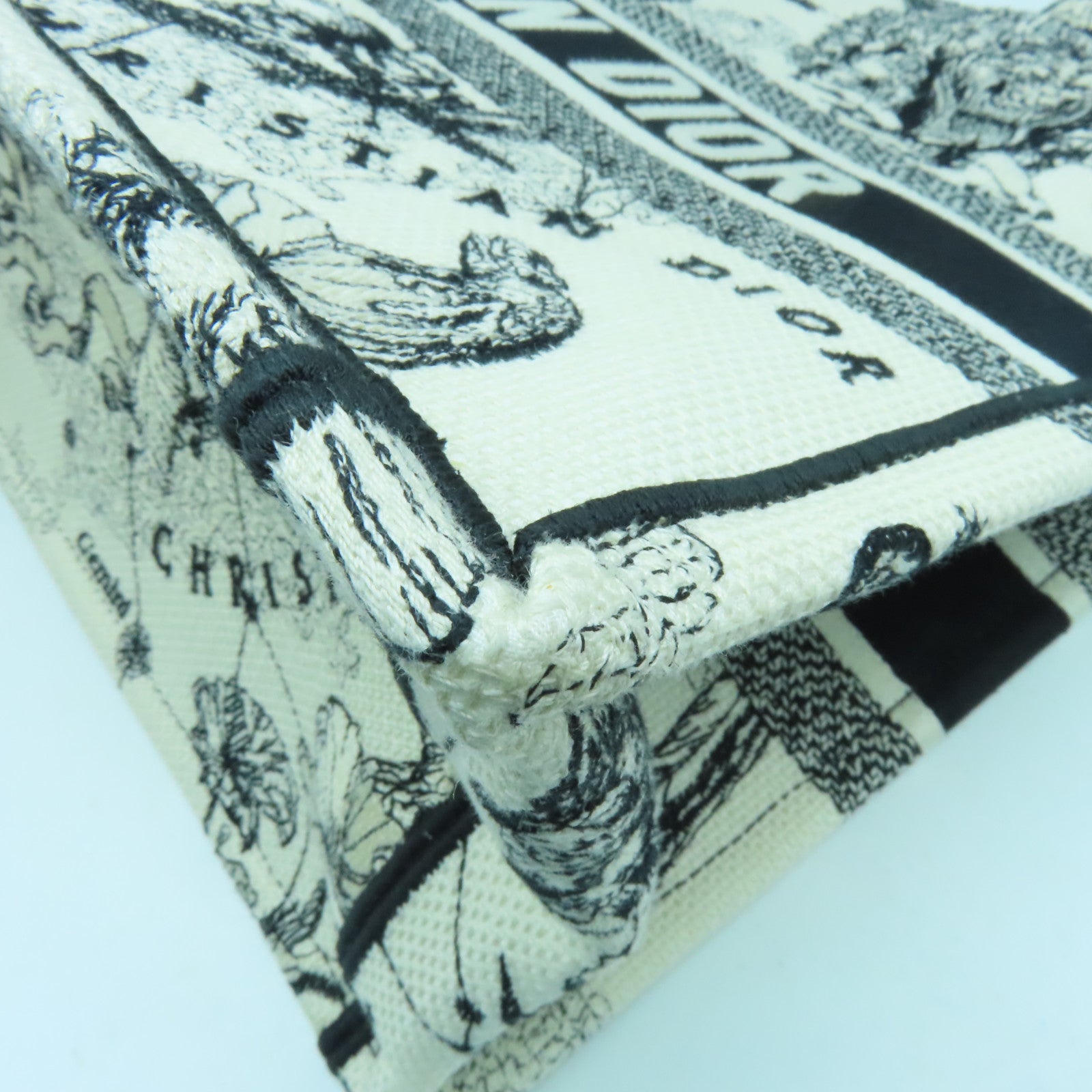 Dior 帆布Medium Book Tote手挽袋黑色/白色